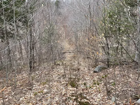 301 Ruggles Mine Road Grafton NH 03240
