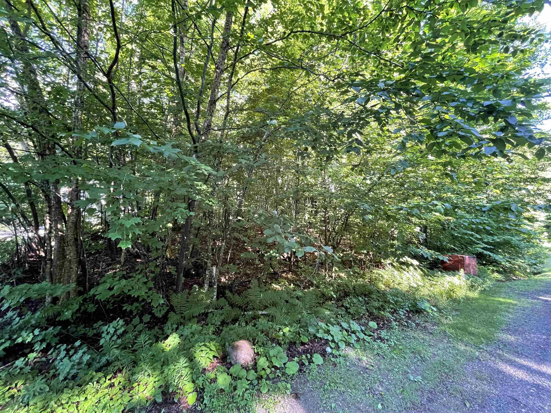 88 Lower Howes Road Wilmington VT 05363