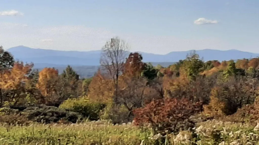 400 Applesauce Hill Castleton VT 05735