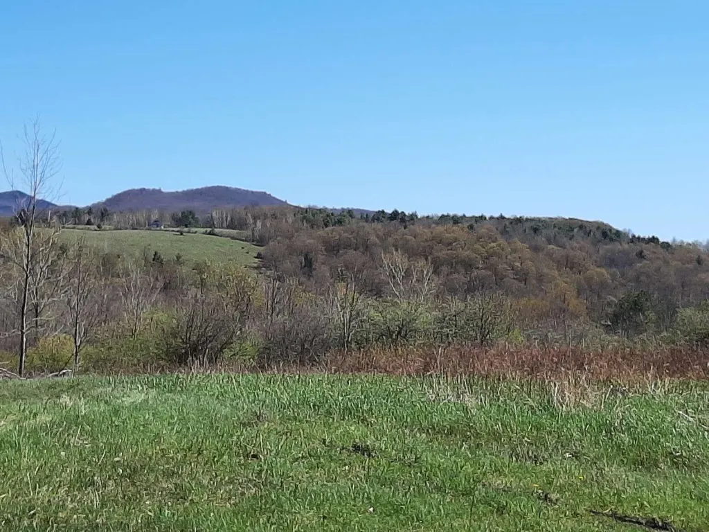 400 Applesauce Hill Castleton VT 05735