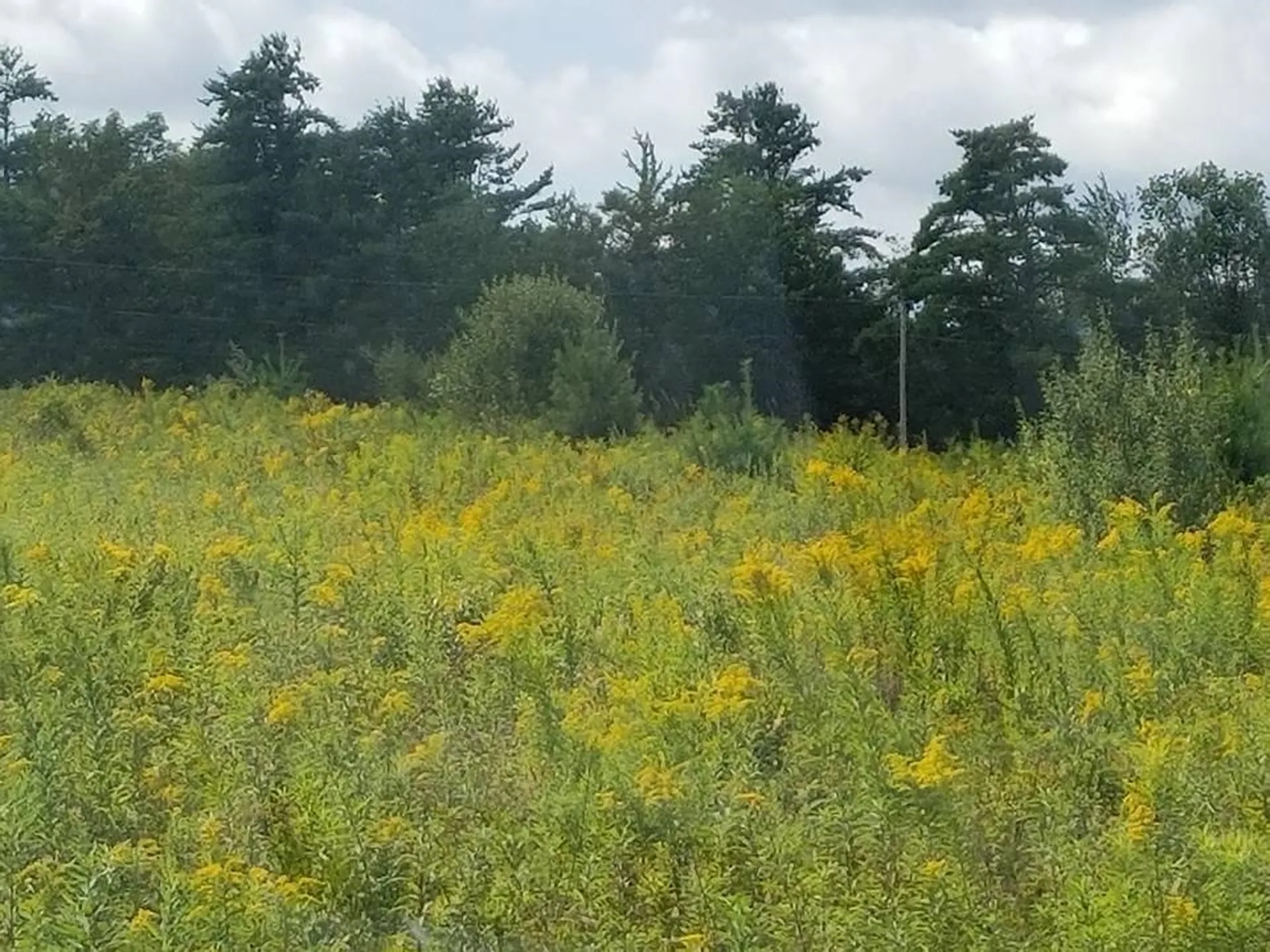 0 Jones Hill Road Enfield NH 03748