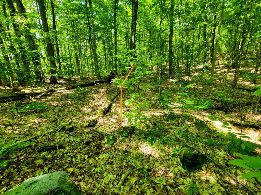 42 Emerson Road Topsham VT 05076