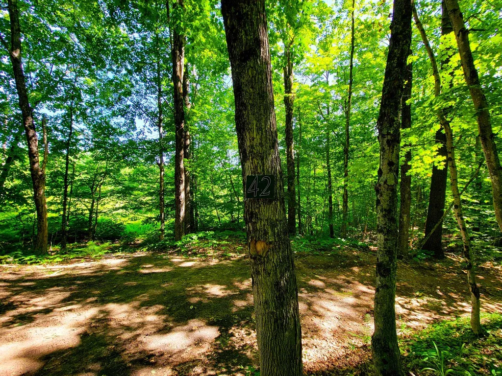 42 Emerson Road Topsham VT 05076