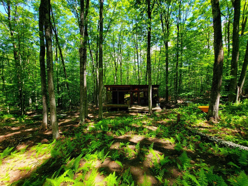42 Emerson Road Topsham VT 05076
