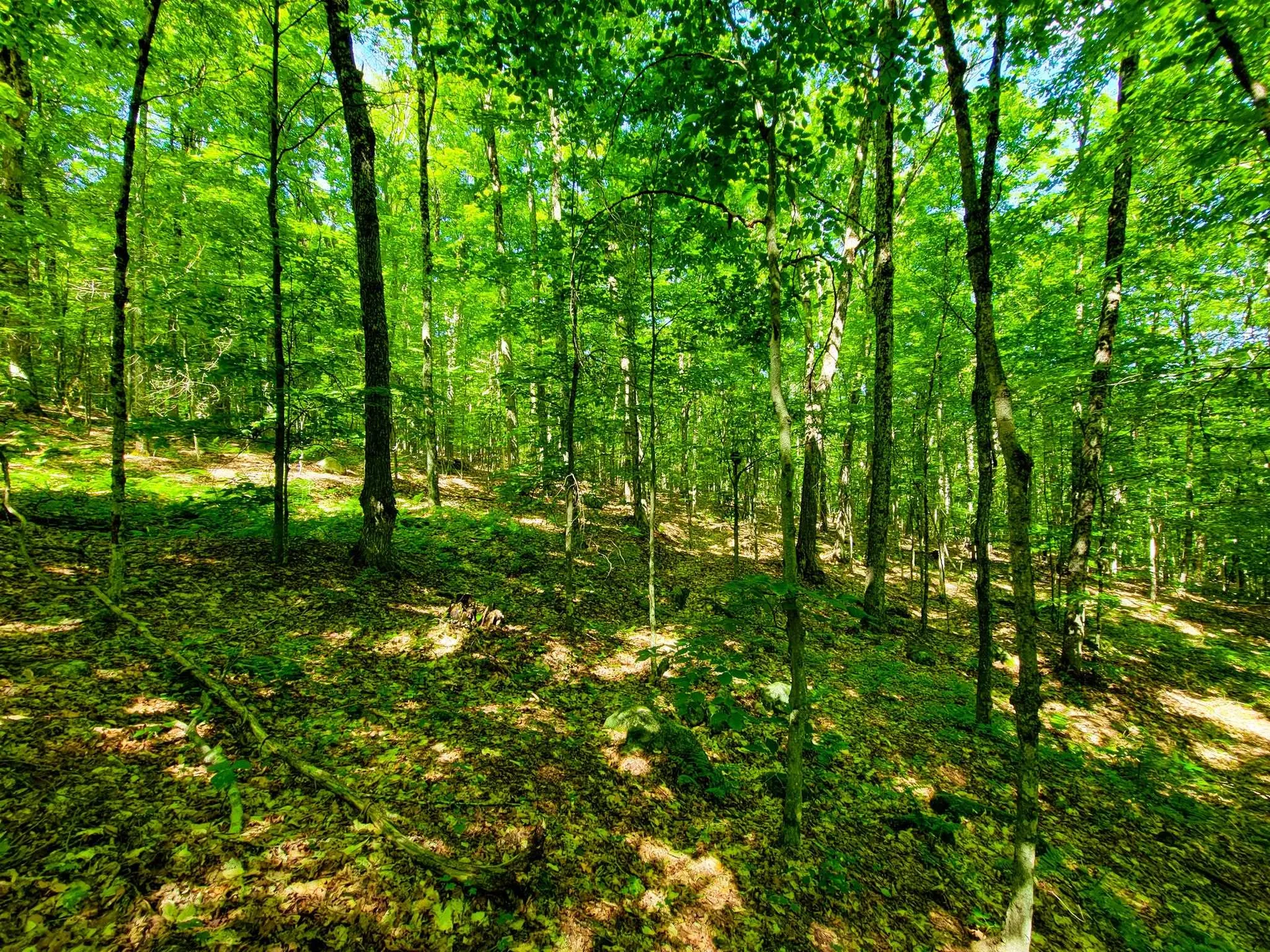 42 Emerson Road Topsham VT 05076