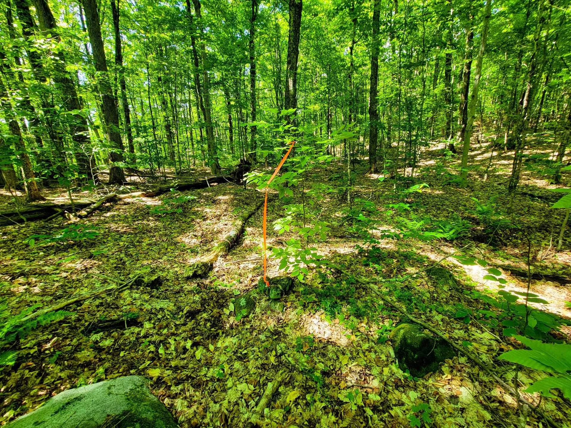 42 Emerson Road Topsham VT 05076