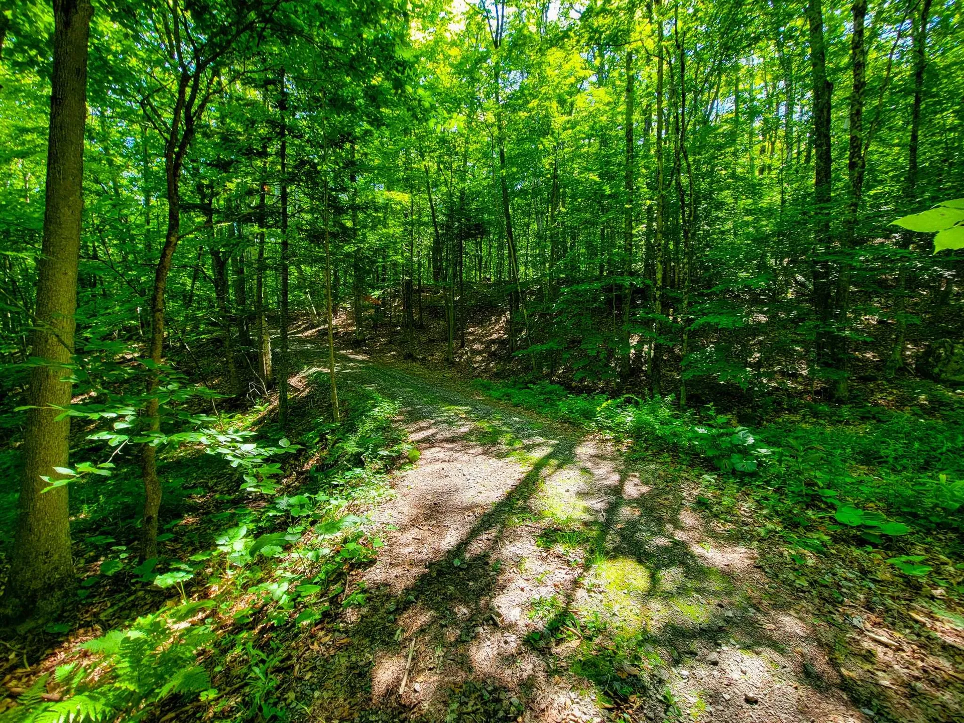 42 Emerson Road Topsham VT 05076