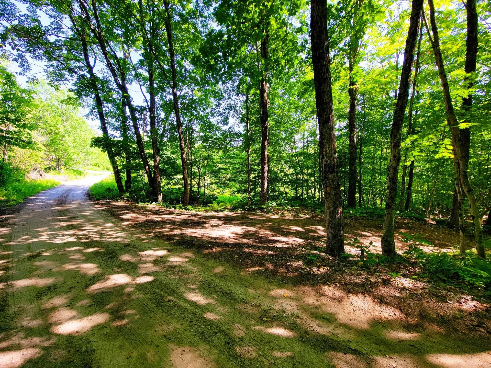 42 Emerson Road Topsham VT 05076