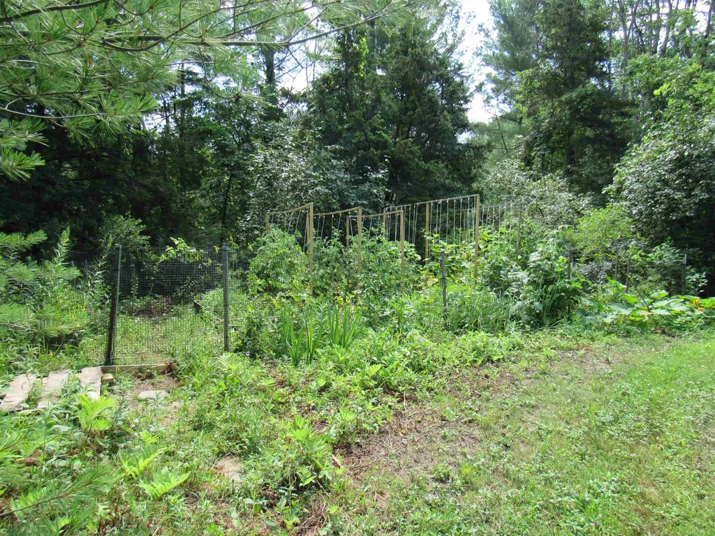 160 Wiley Road Colchester VT 05446