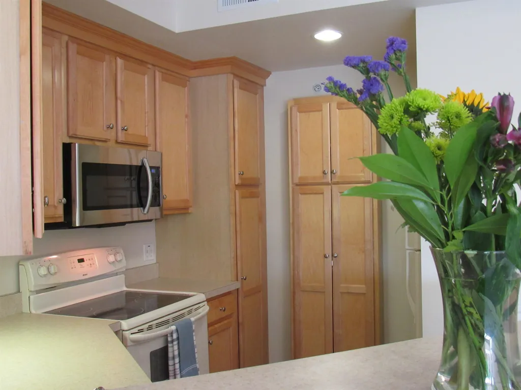 160 Wiley Road Colchester VT 05446