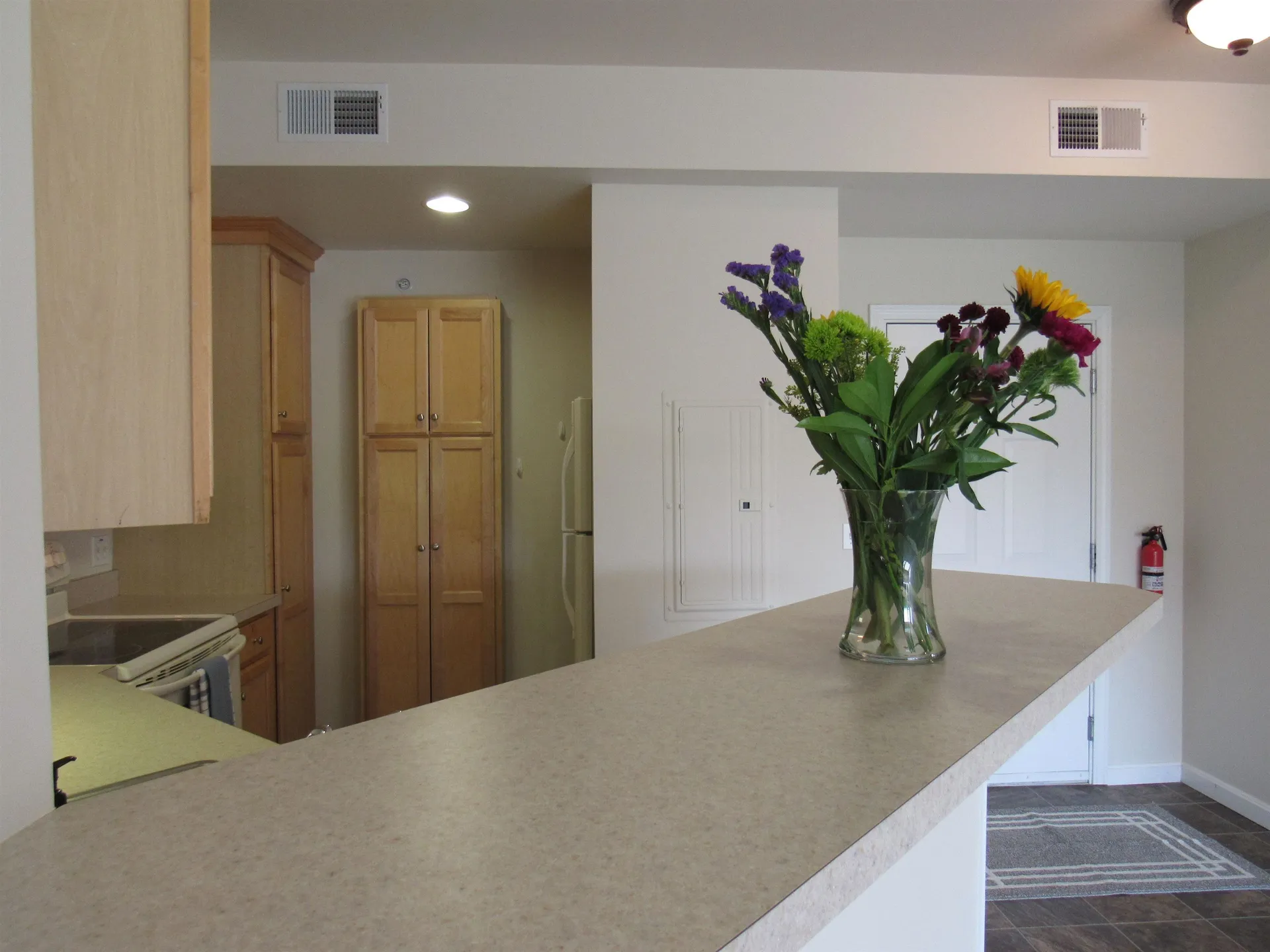 160 Wiley Road Colchester VT 05446