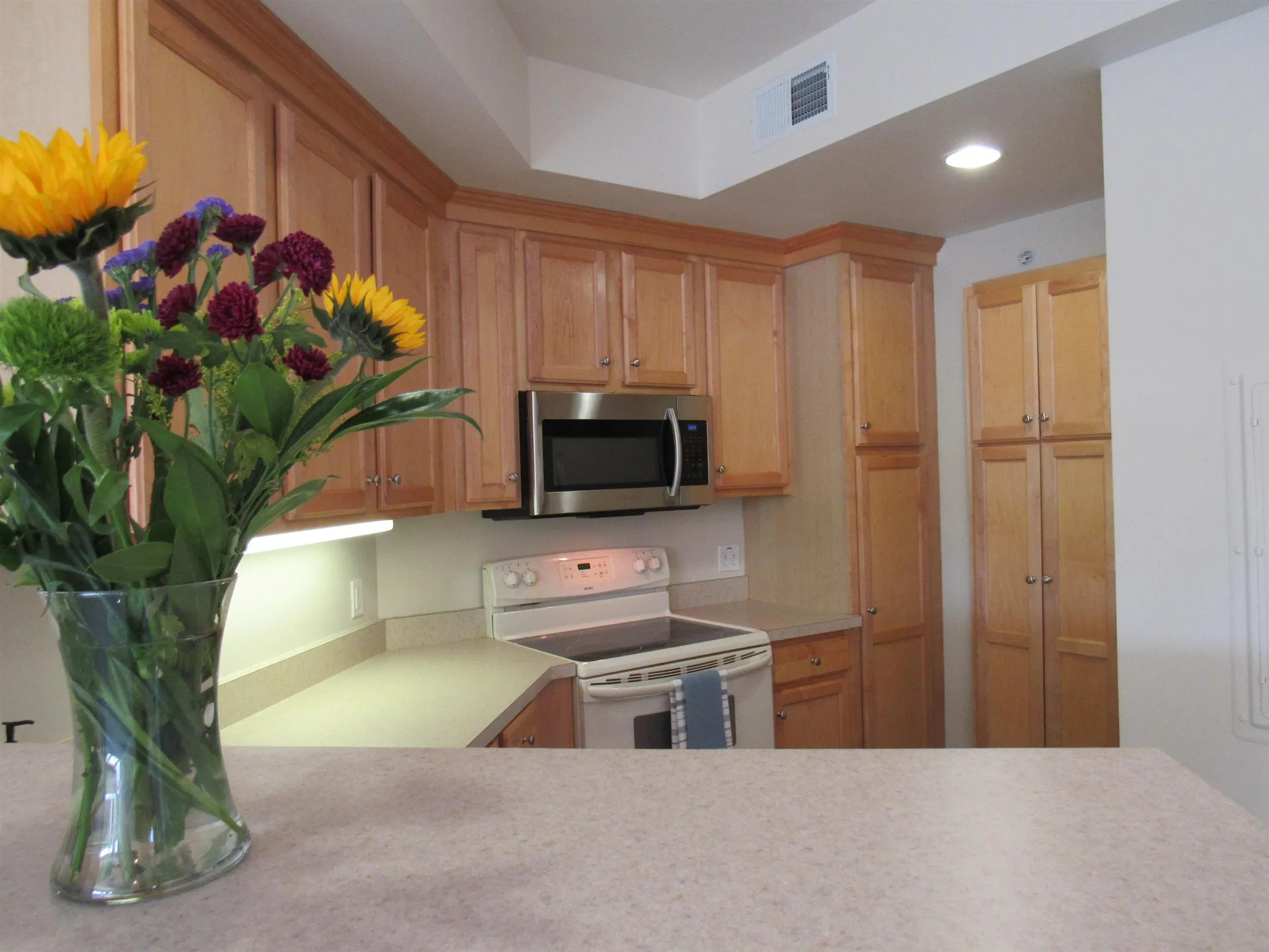 160 Wiley Road Colchester VT 05446
