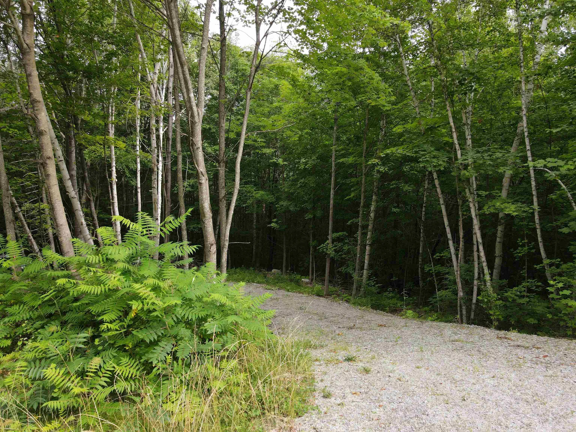 Meadow Lane Campton NH 03223