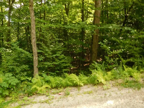 0 Chipmunk Lane Tamworth NH 03886