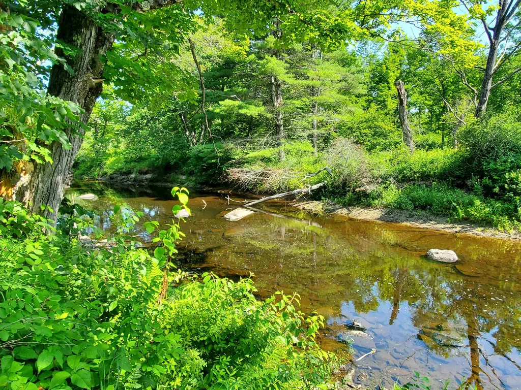 9 Goodwin Lane Canaan NH 03741