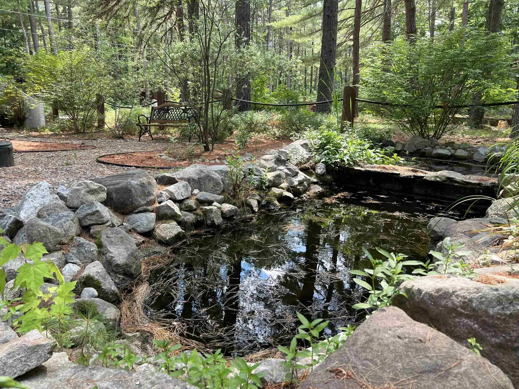 16 Margo Lane Tamworth NH 03817