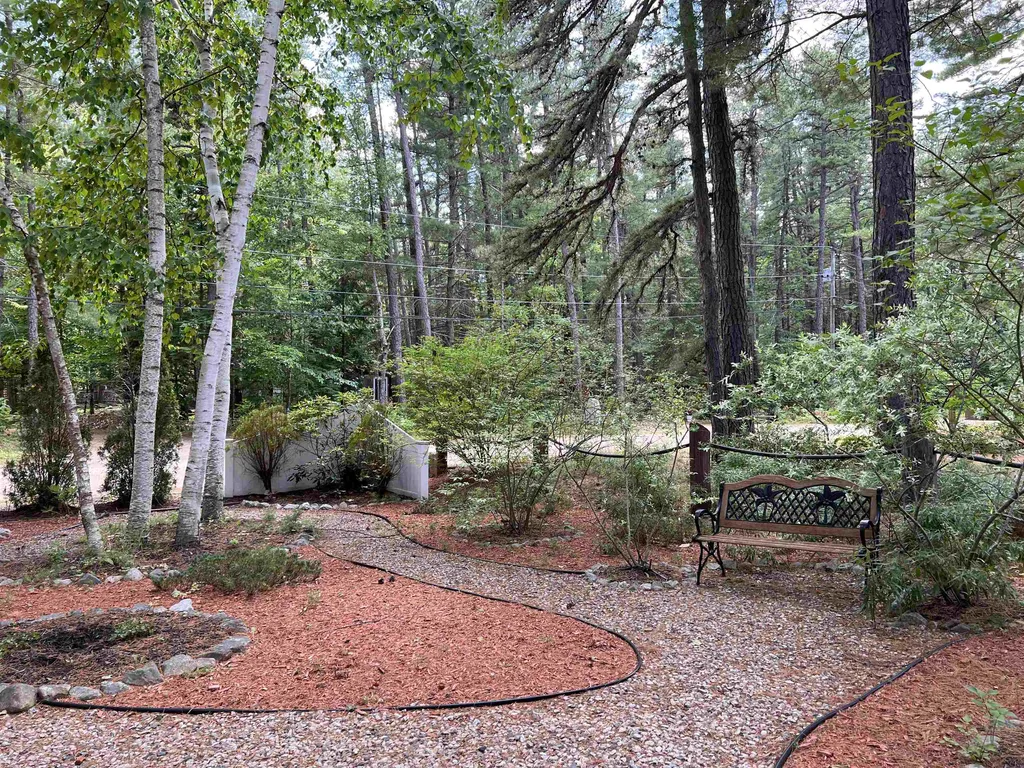 16 Margo Lane Tamworth NH 03817