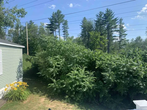 1 Aster Drive Tilton NH 03276