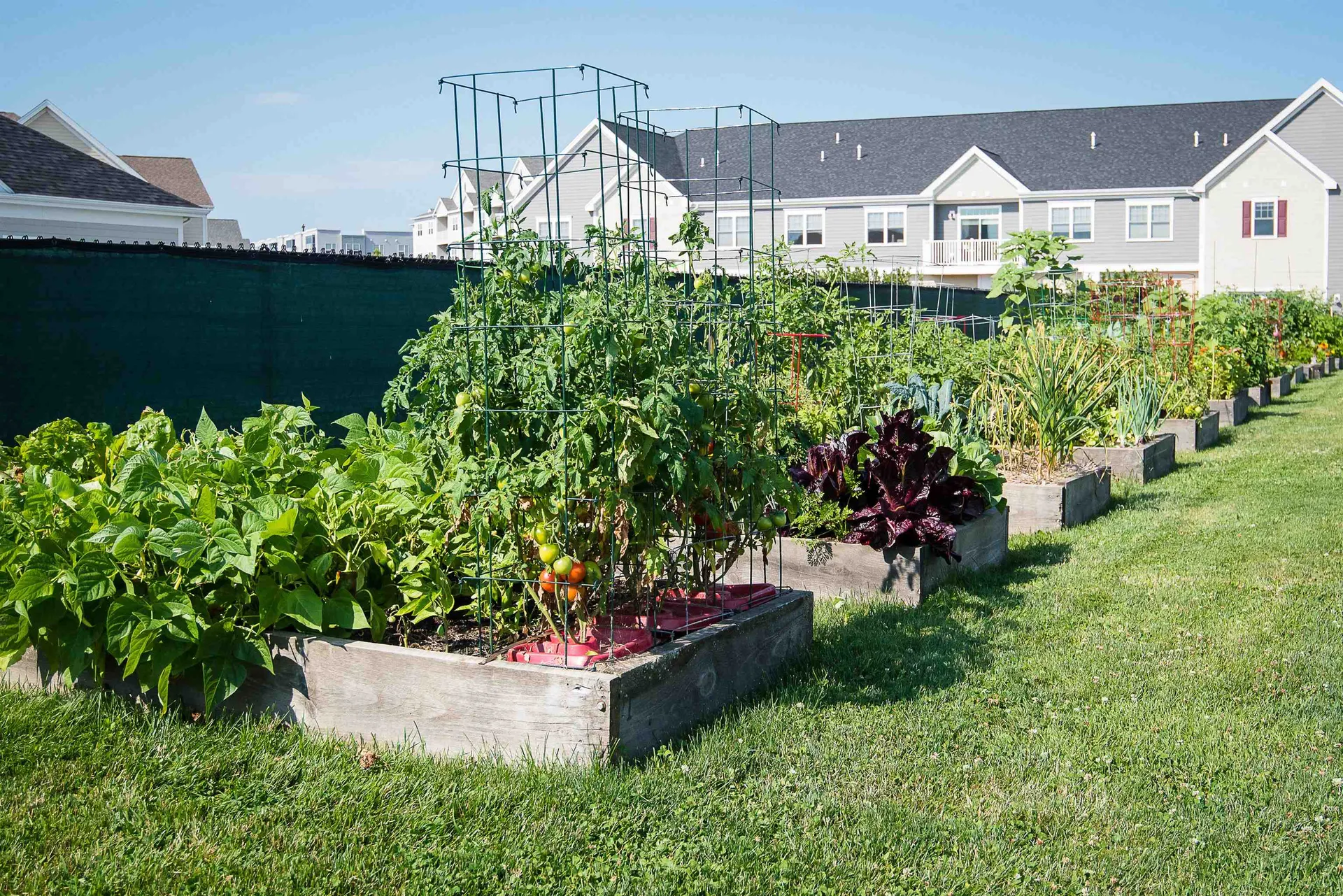 201 Holland Lane Williston VT 05495