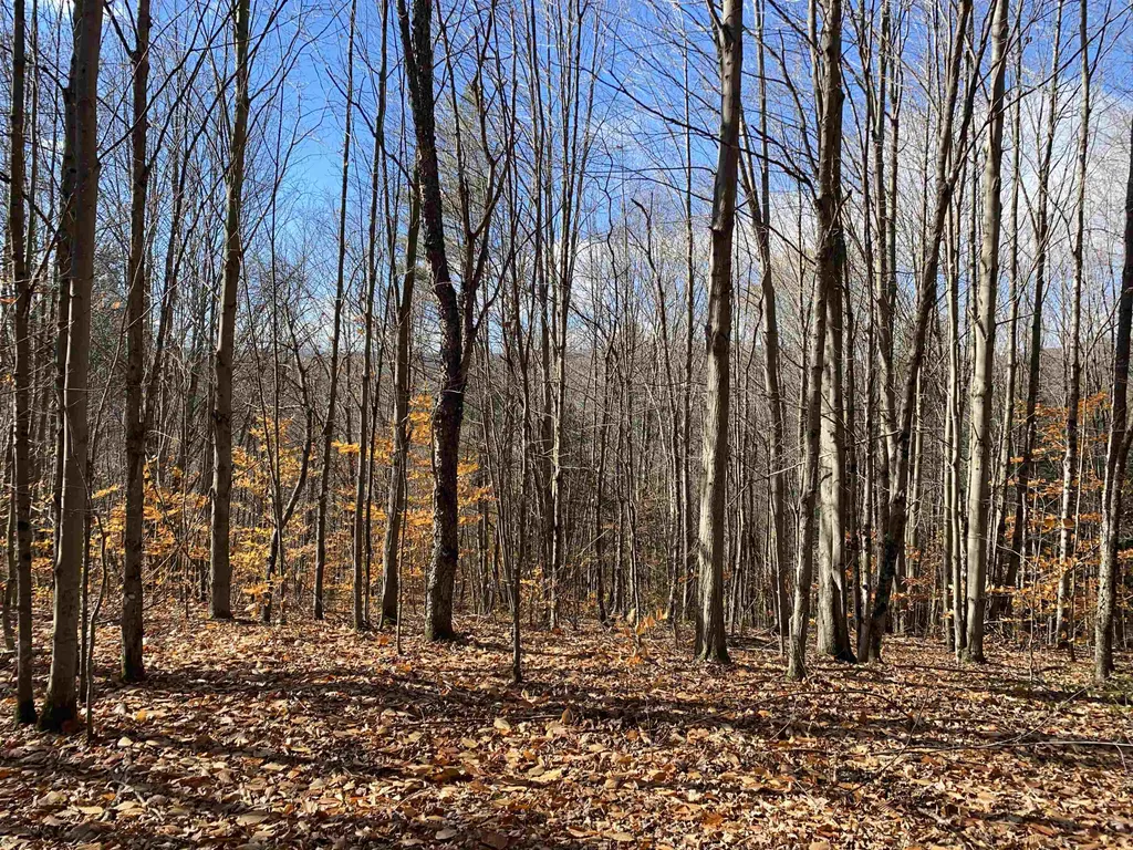 0 Bear Hill Road Brookfield VT 05036