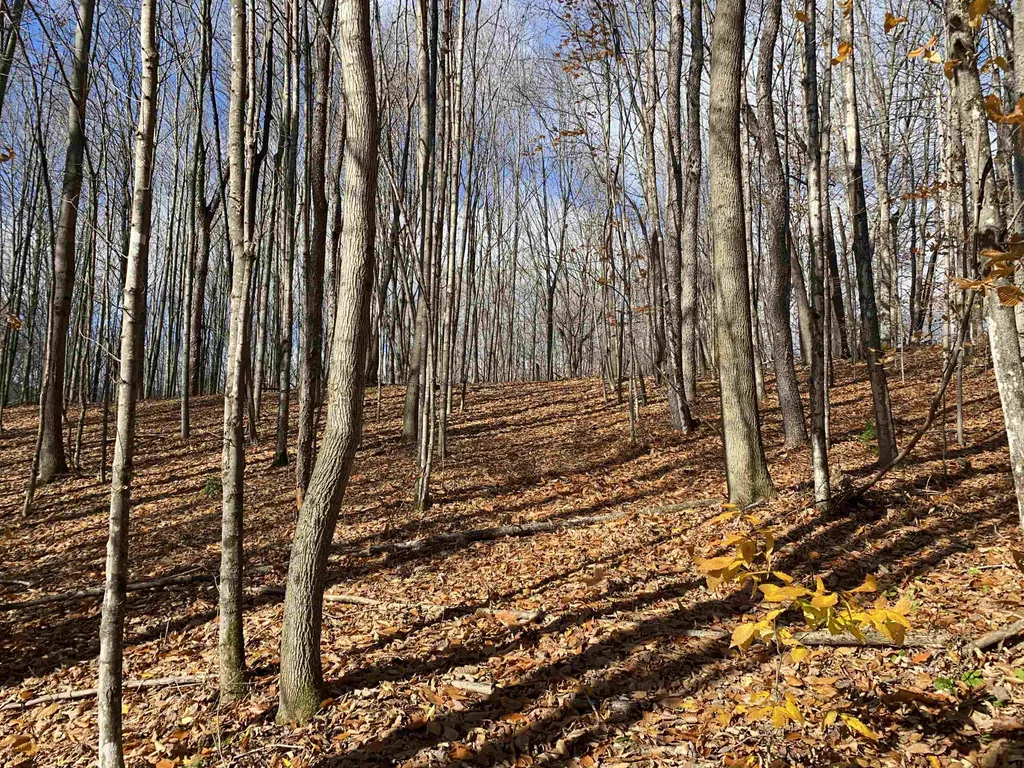 0 Bear Hill Road Brookfield VT 05036