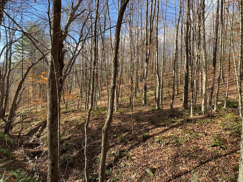 0 Bear Hill Road Brookfield VT 05036