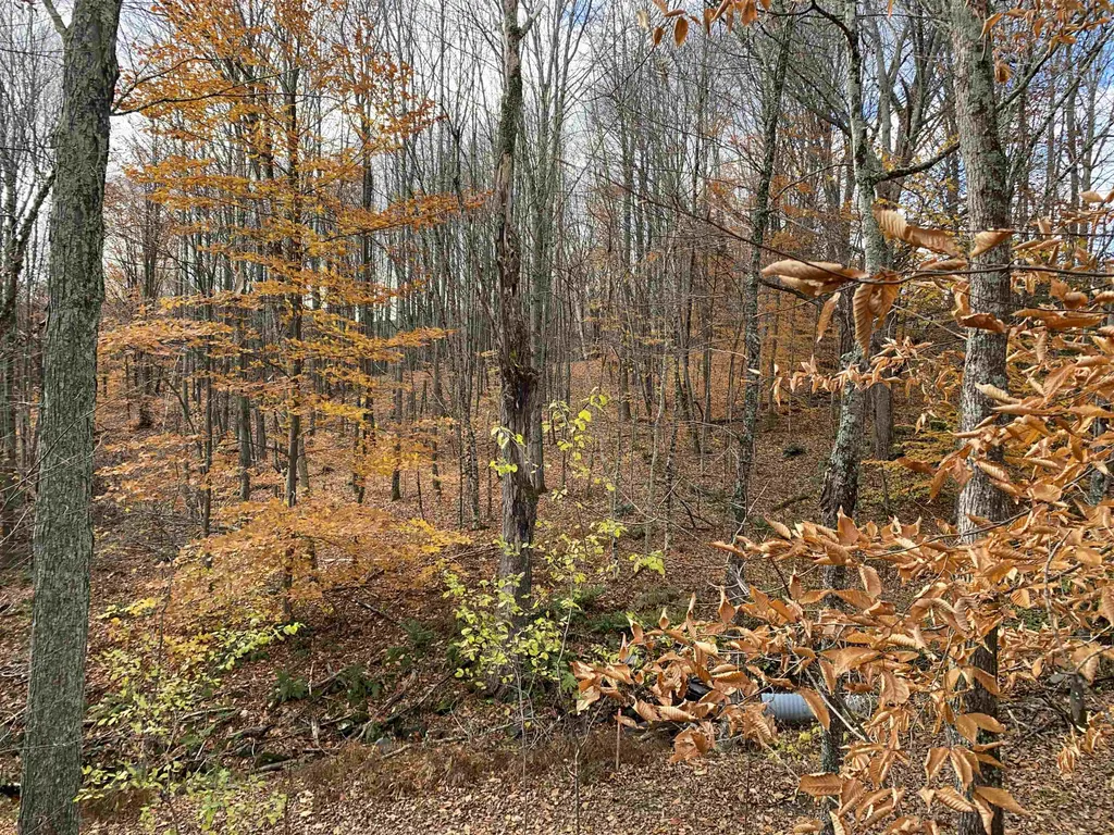 0 Bear Hill Road Brookfield VT 05036