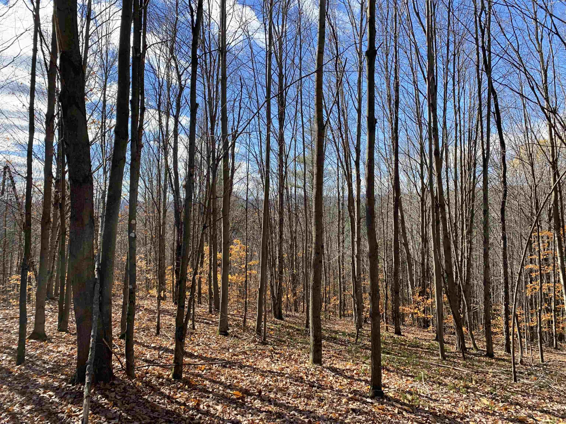 Brookfield VT, Bear Hill Road