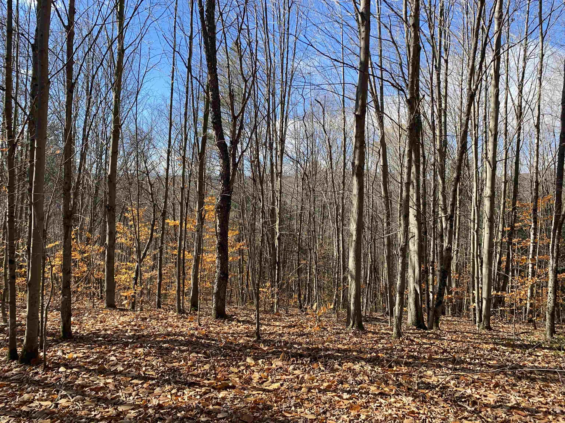 0 Bear Hill Road Brookfield VT 05036