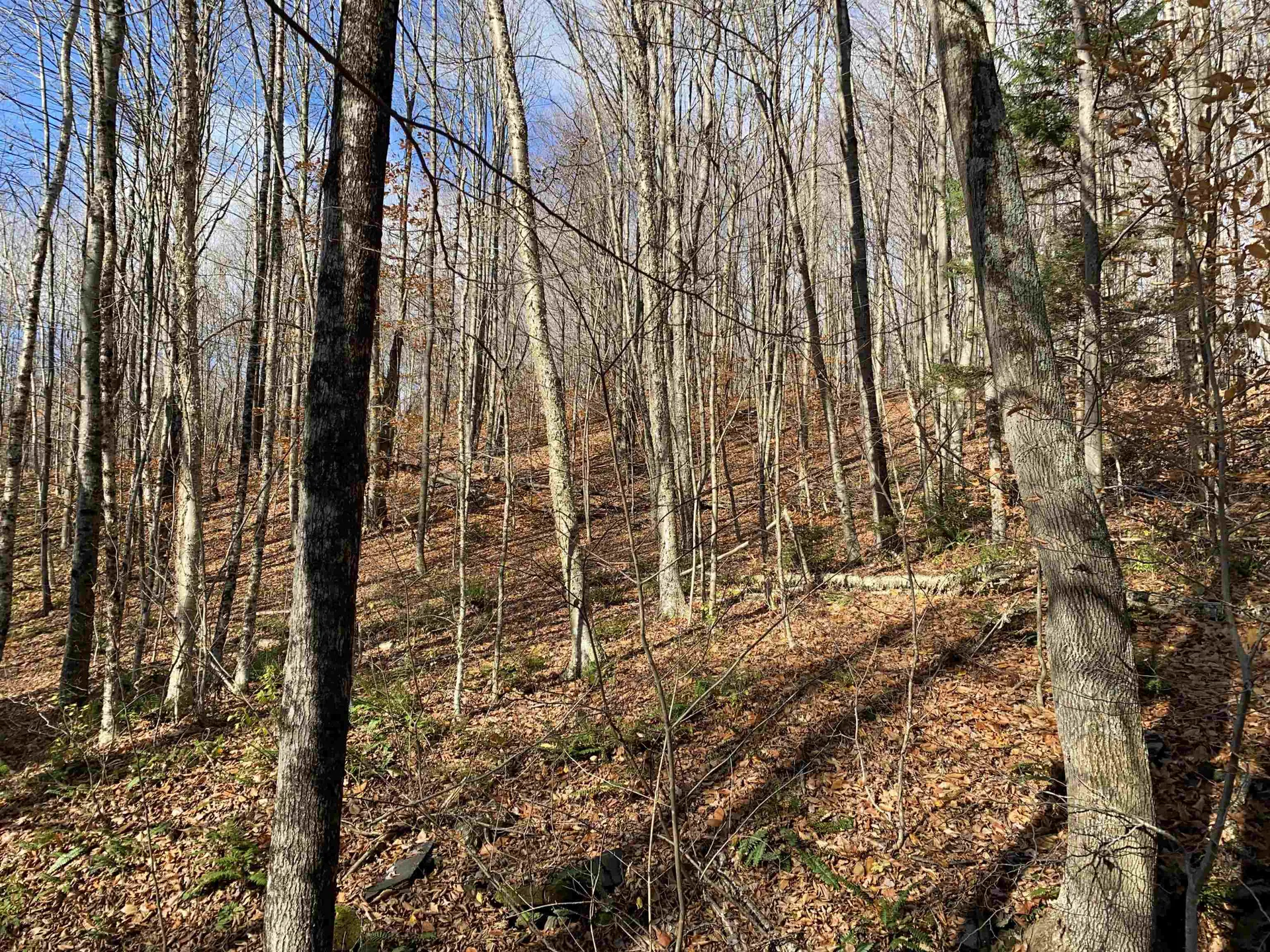 0 Bear Hill Road Brookfield VT 05036