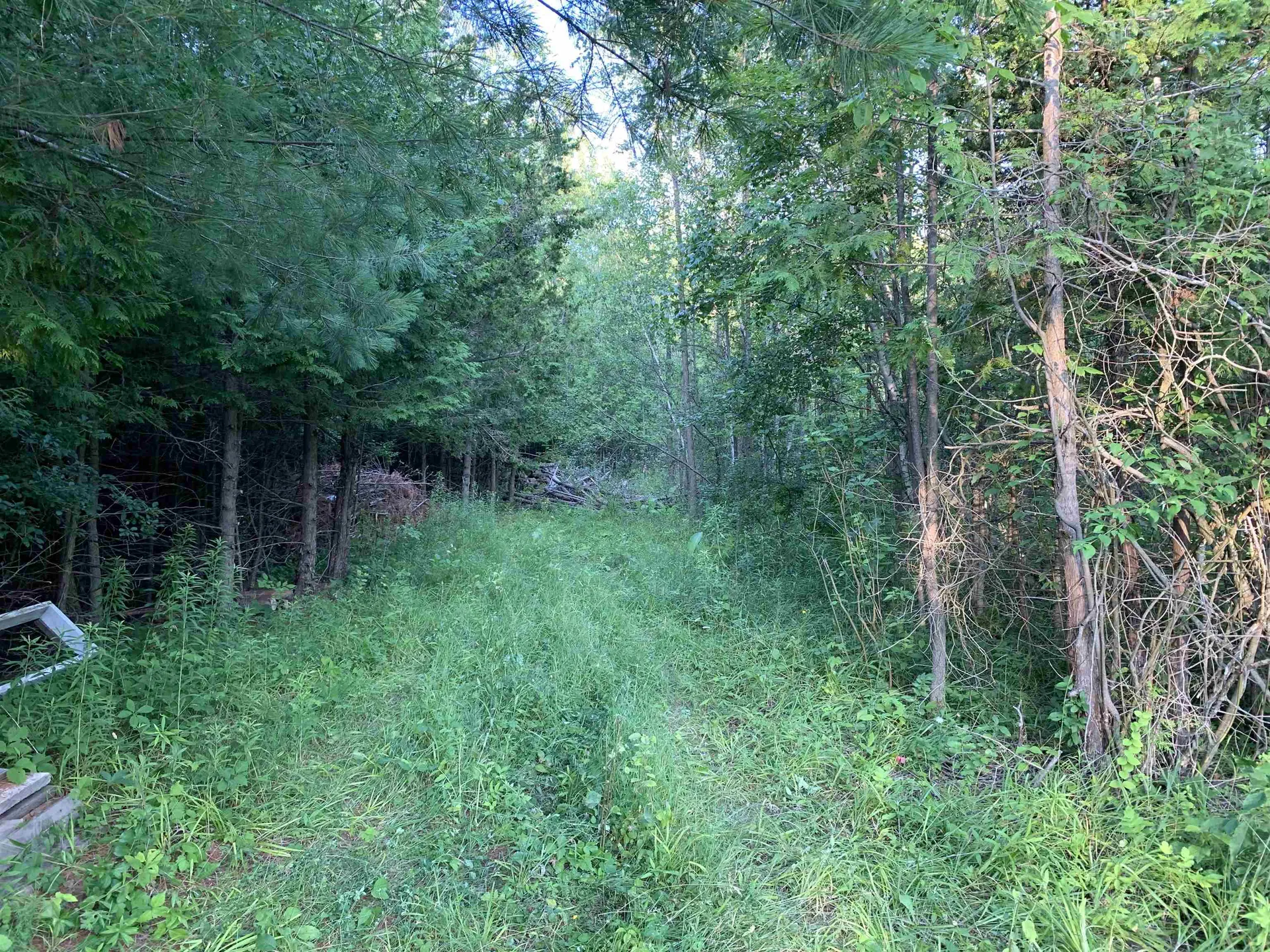 62 Adams School Road Grand Isle VT 05458