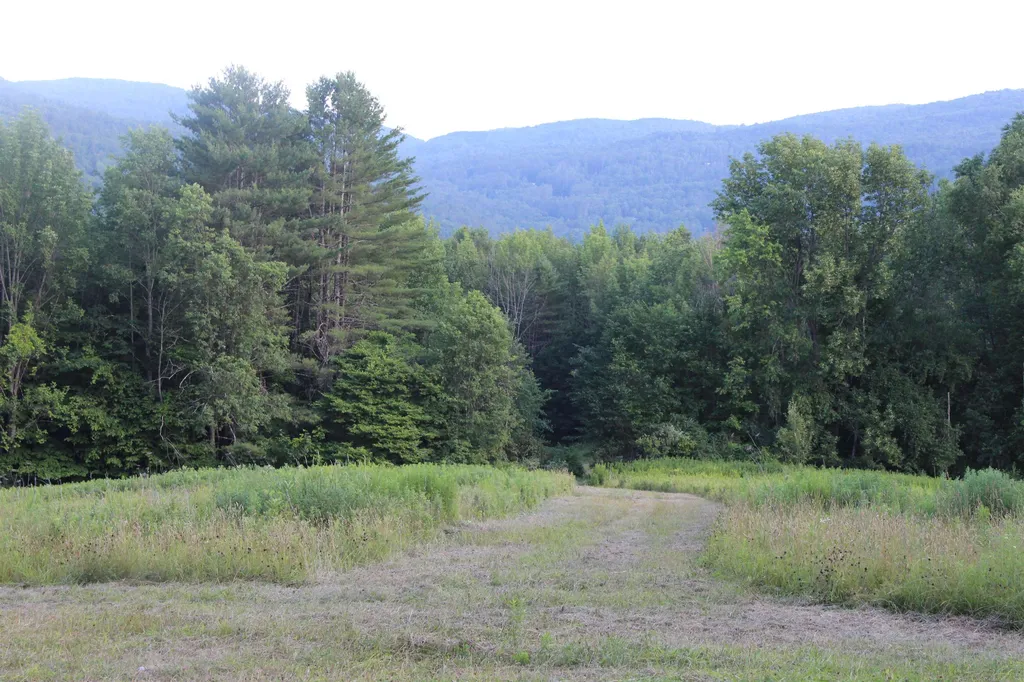 170 Cloverpatch Road Hartford VT 05091