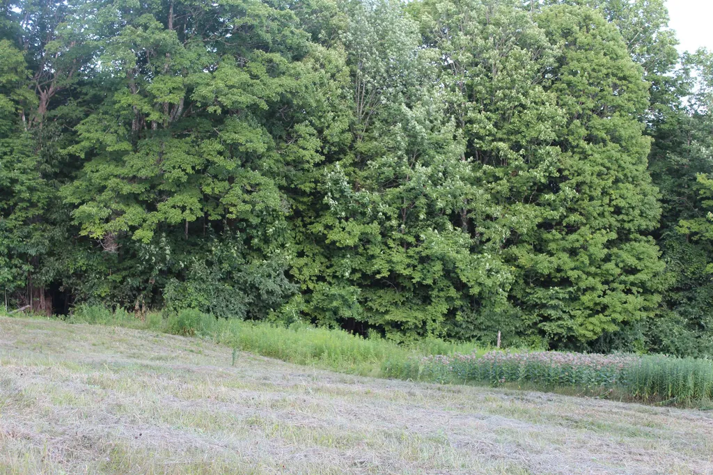 170 Cloverpatch Road Hartford VT 05091