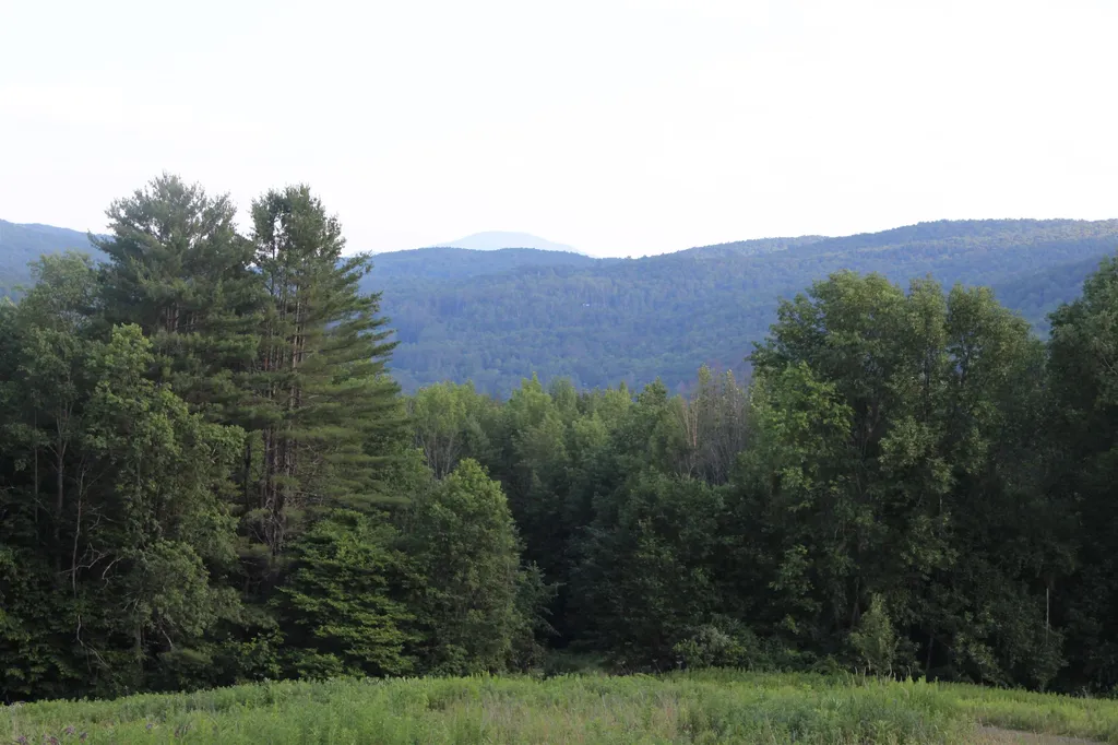170 Cloverpatch Road Hartford VT 05091