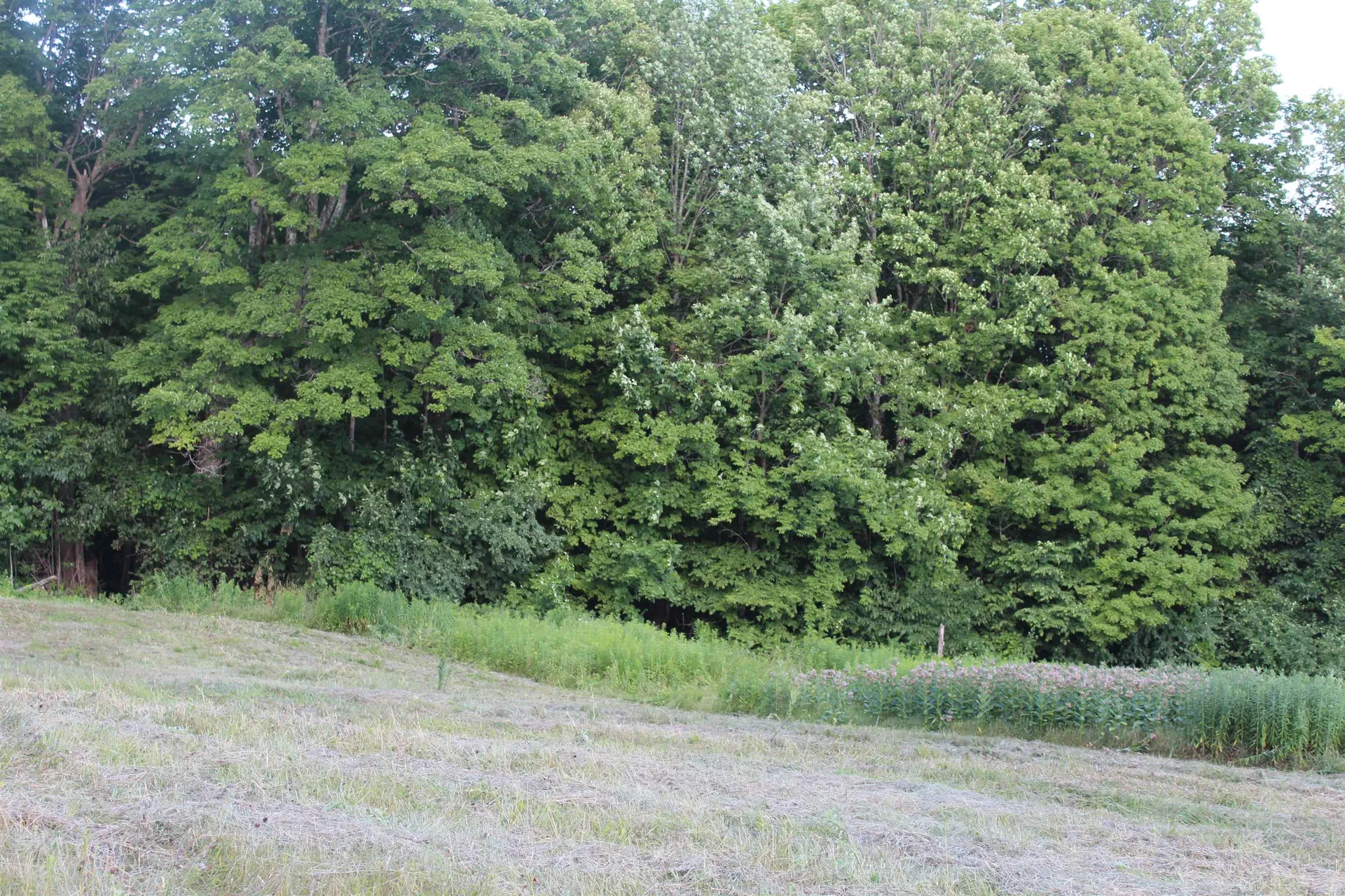 170 Cloverpatch Road Hartford VT 05091