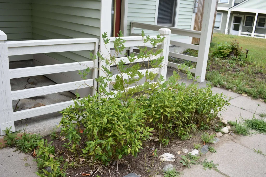44 Marsten Lane Enfield NH 03748