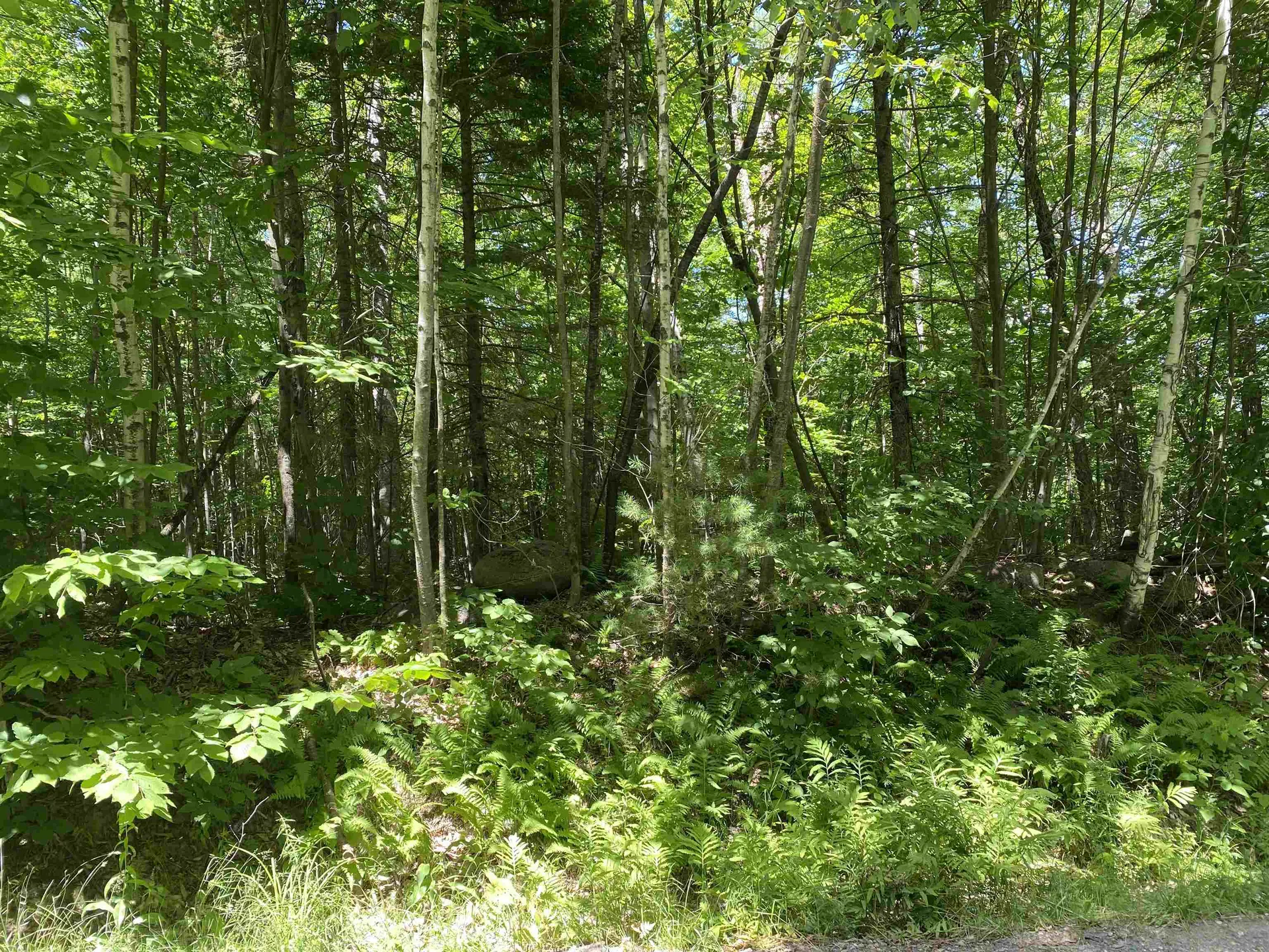0 Mountain Road Grantham NH 03753