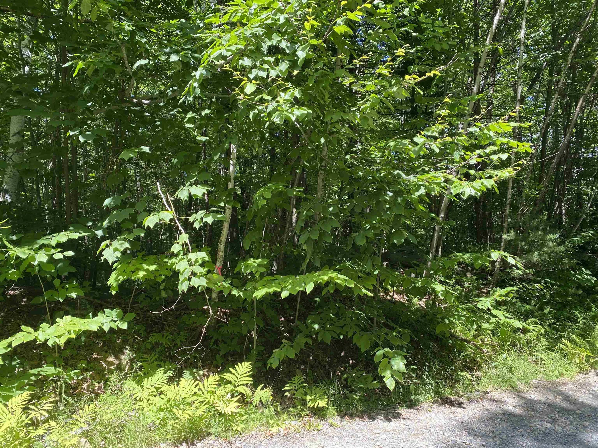 0 Mountain Road Grantham NH 03753