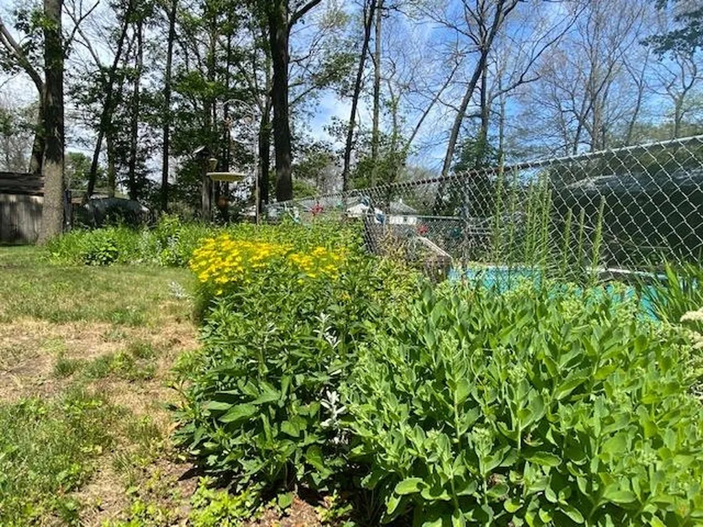 53 Shady Lane Colchester VT 05446