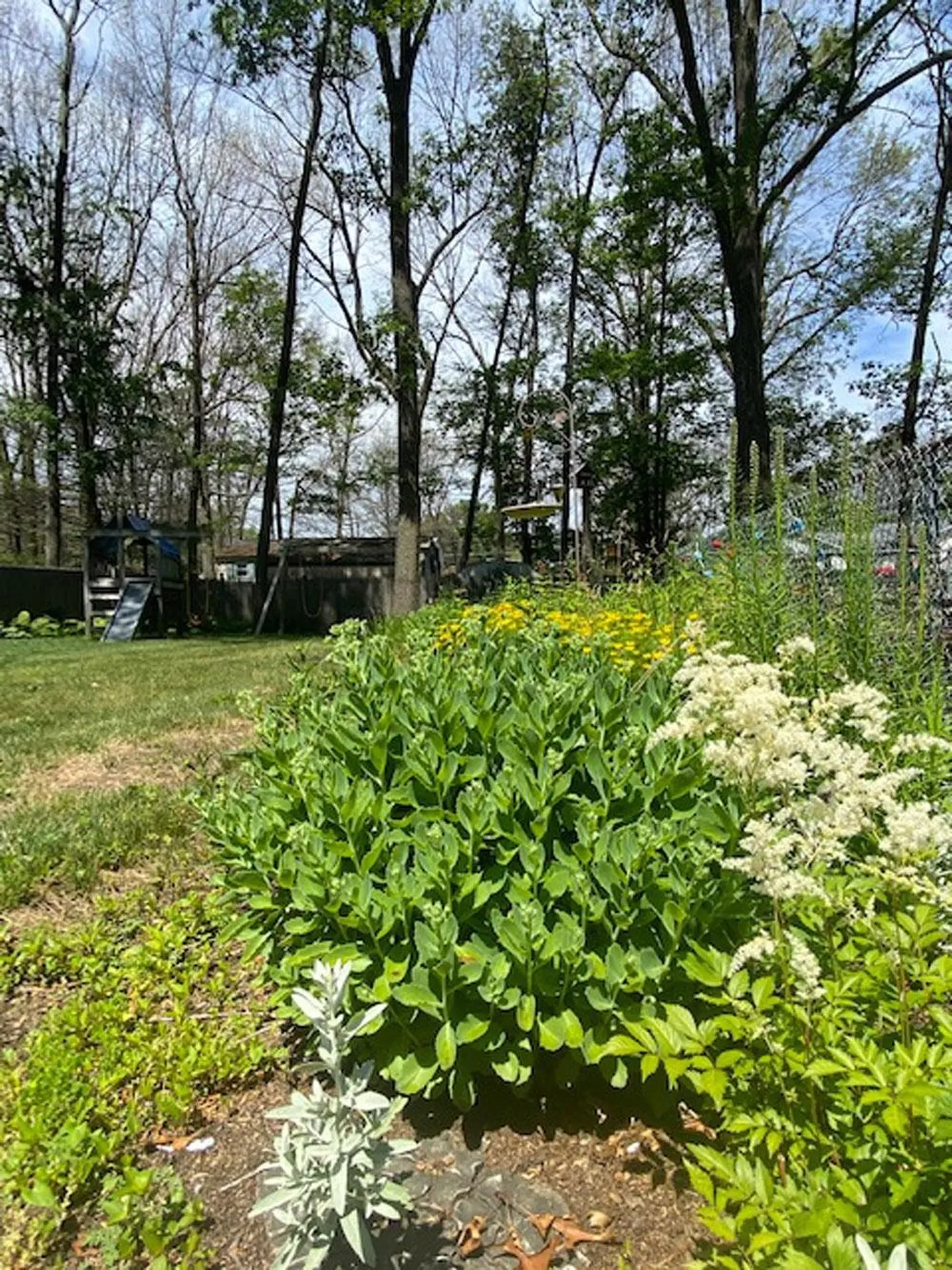 53 Shady Lane Colchester VT 05446