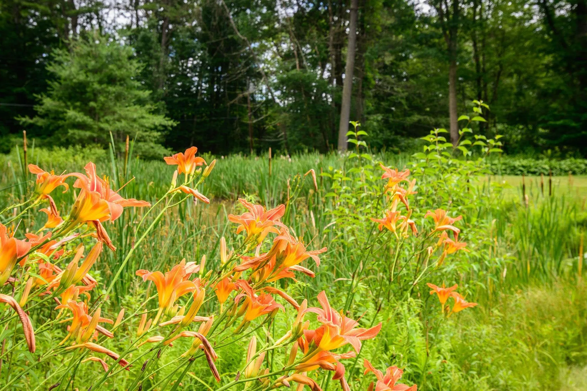 161 East Putney Falls Road Putney VT 05346