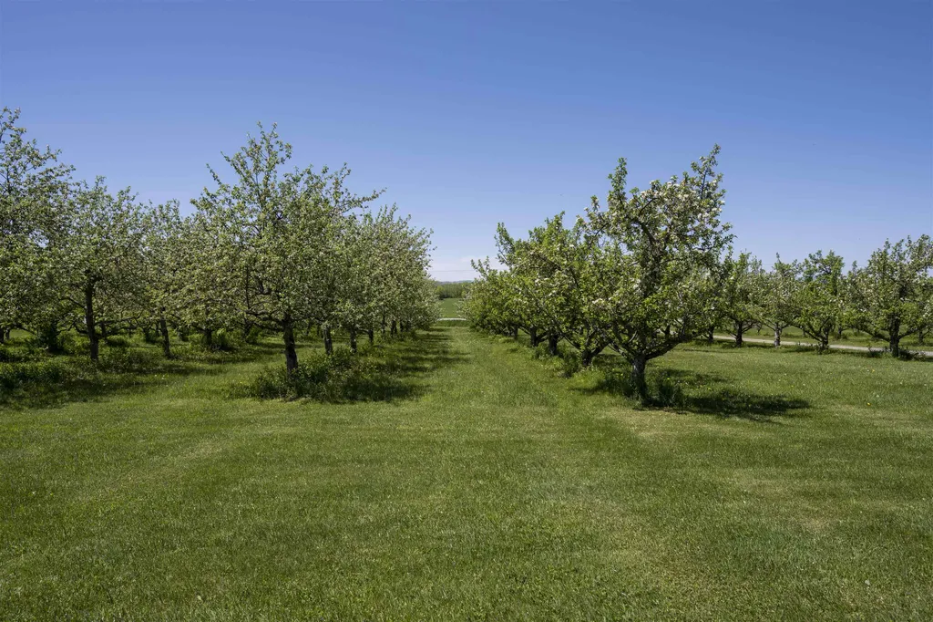 1131 South Bingham Street Cornwall VT 05753