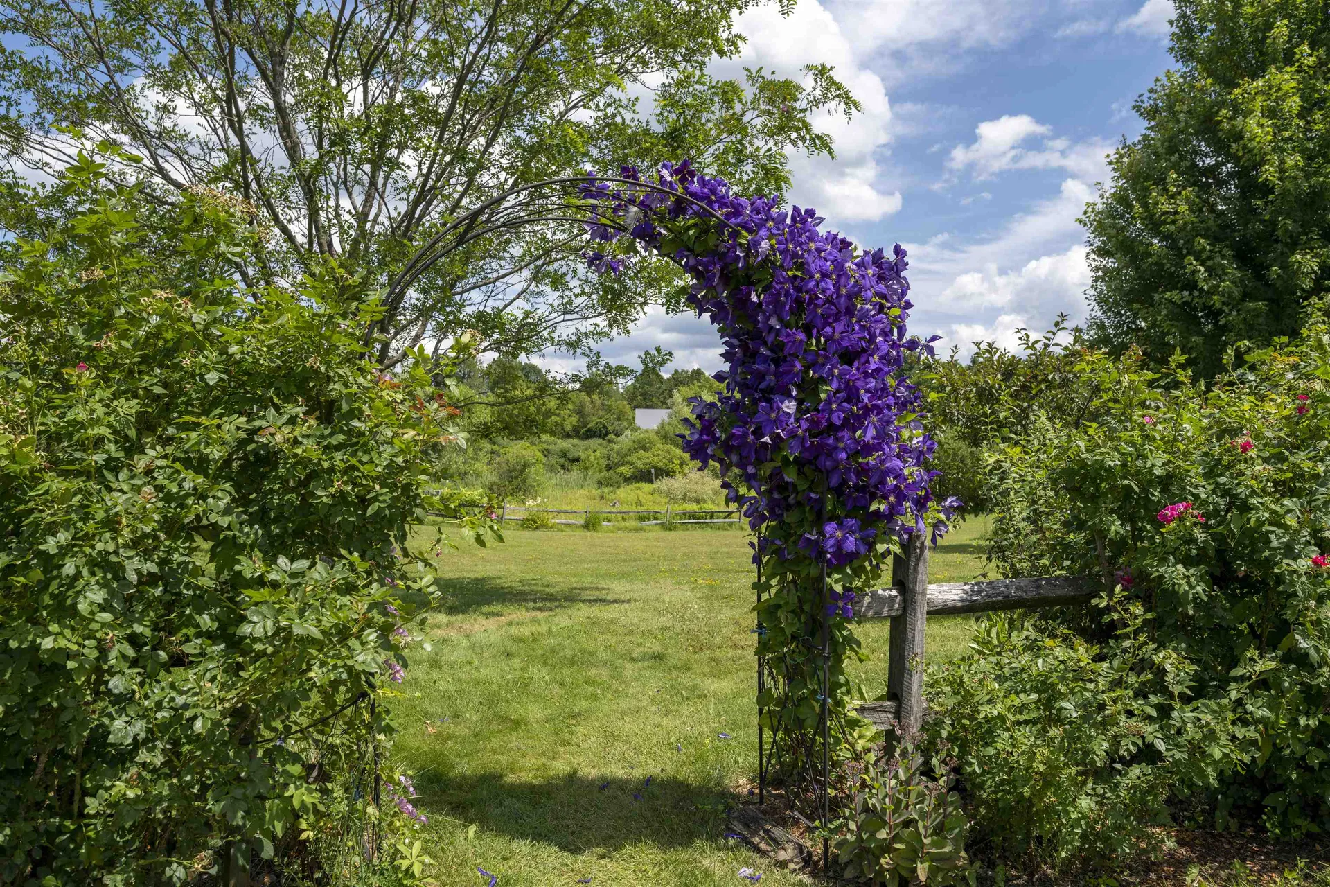 1131 South Bingham Street Cornwall VT 05753