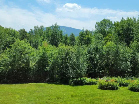 15 Stark Farm Road Winhall VT 05340