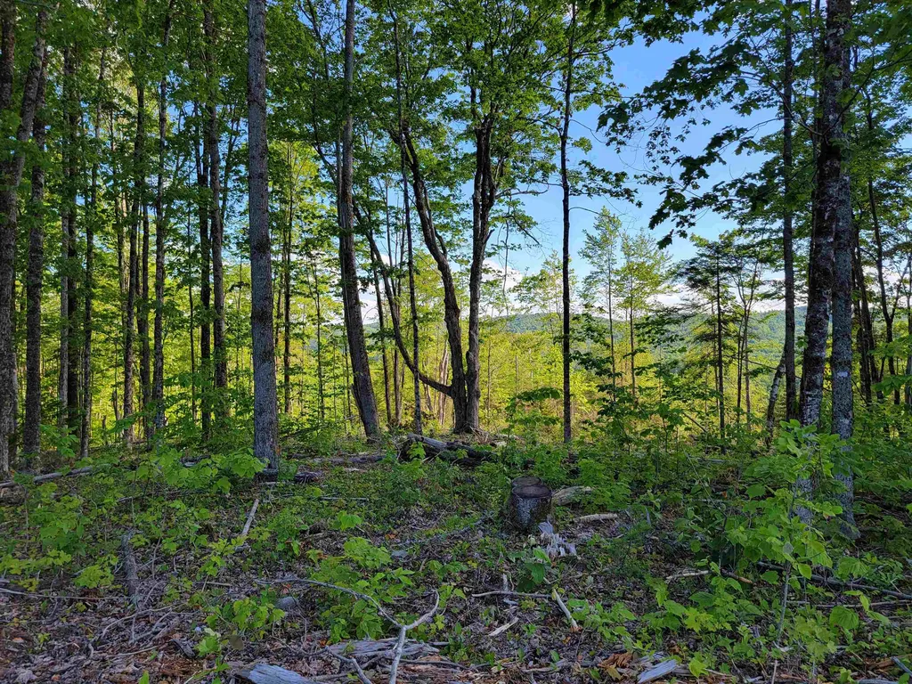00 Territory Road Topsham VT 05076