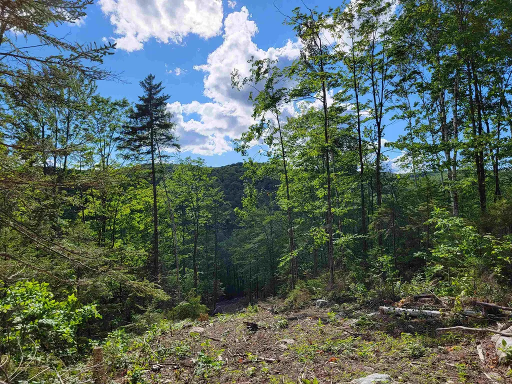 00 Territory Road Topsham VT 05076