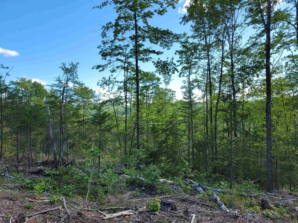 00 Territory Road Topsham VT 05076