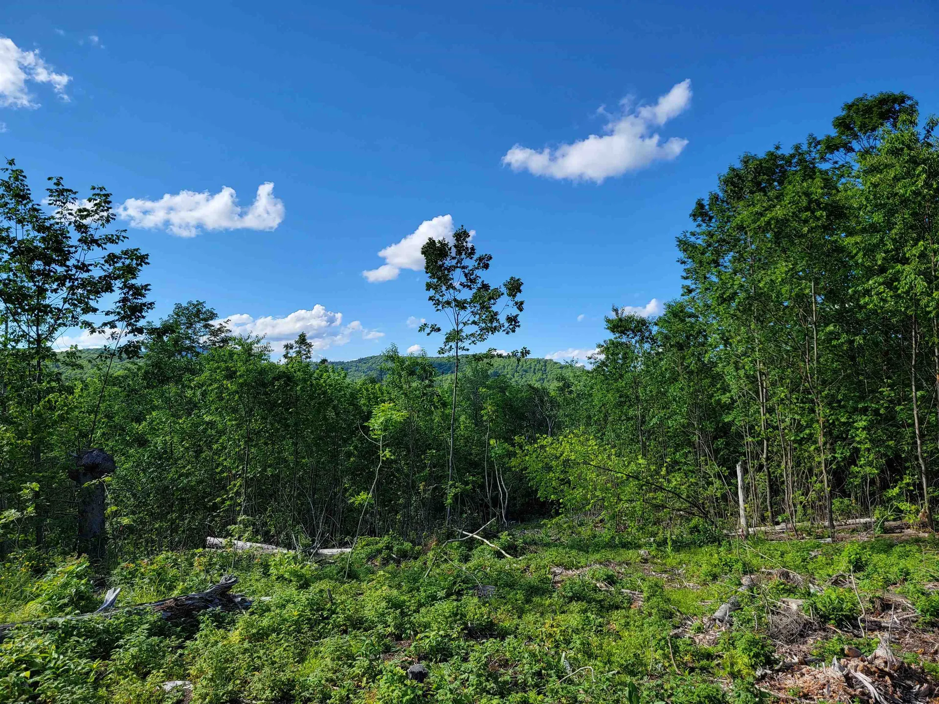 00 Territory Road Topsham VT 05076