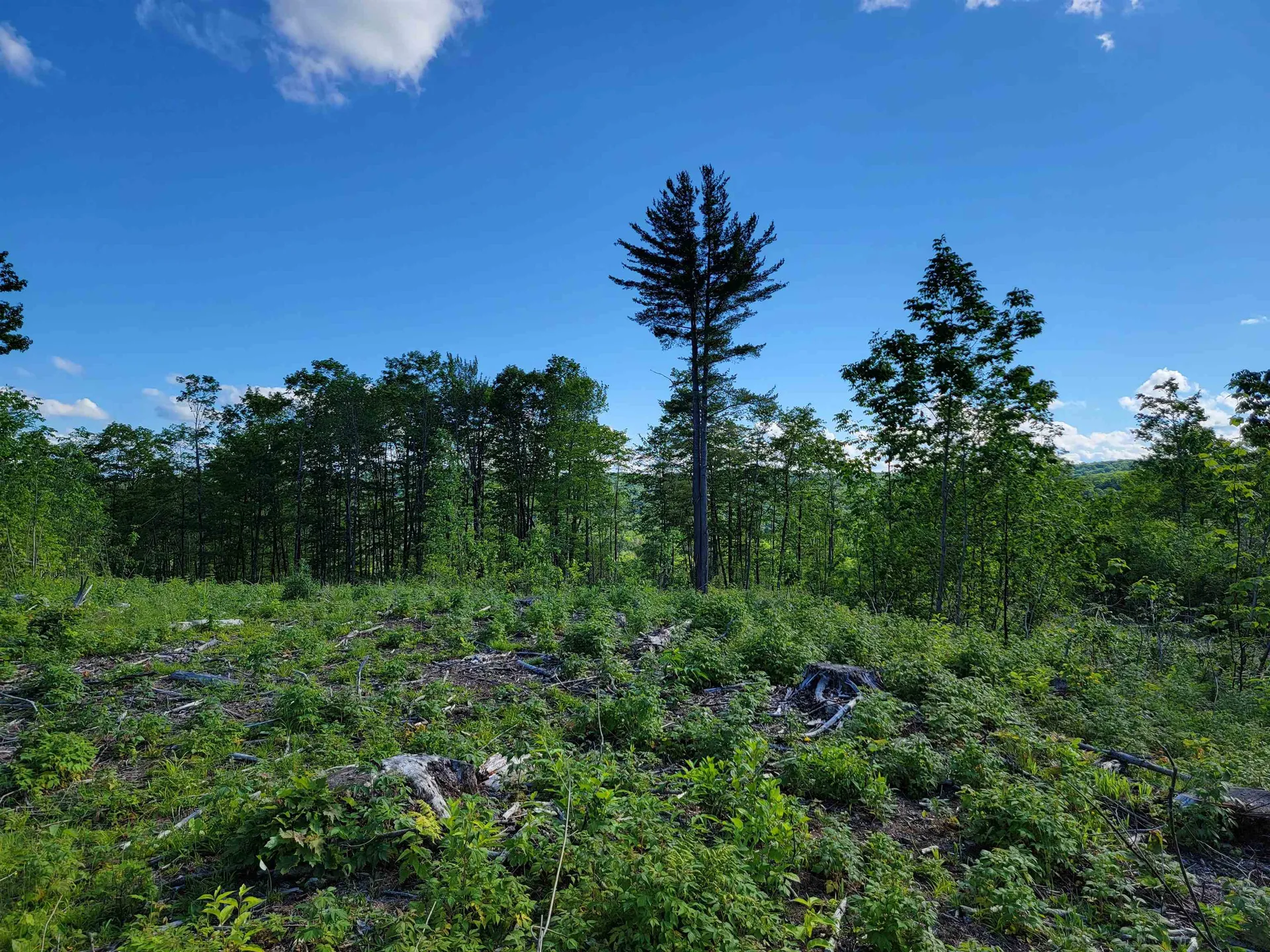 00 Territory Road Topsham VT 05076