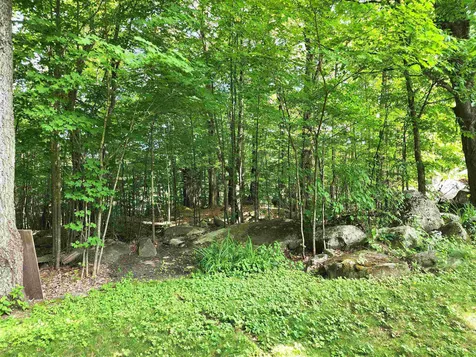 315 Edgemont Road Sunapee NH 03782